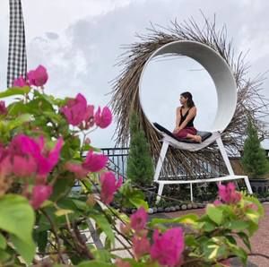 Meet your Posher, Maxine